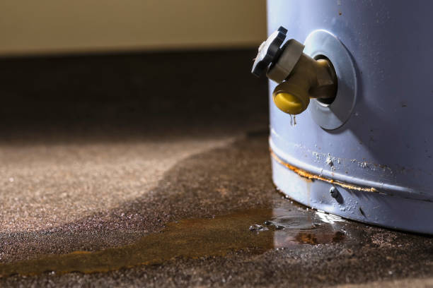 Best 24/7 water damage repair  in Frankford, DE