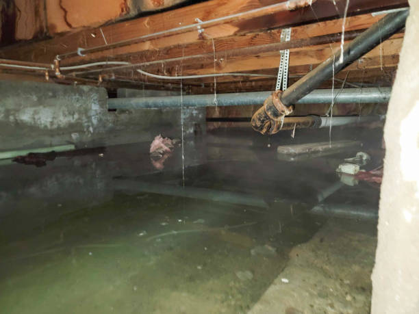  Frankford, DE Water damage restoration Pros
