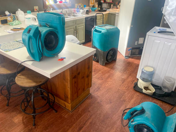 Best Local water damage restoration  in Frankford, DE