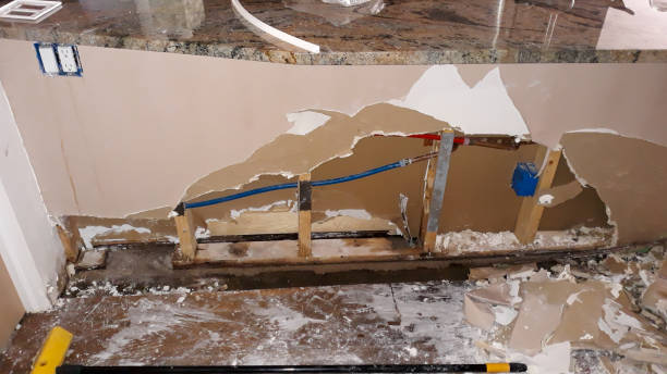 Best Water damage restoration near me  in Frankford, DE