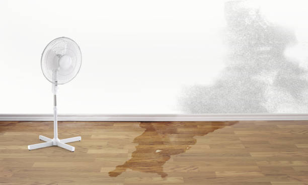 Best Emergency water damage restoration  in Frankford, DE