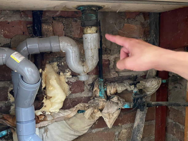 Trusted DE Water damage restoration Experts