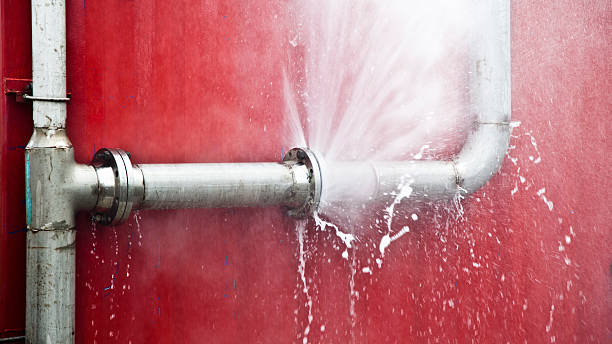 Best Water damage restoration services  in Frankford, DE